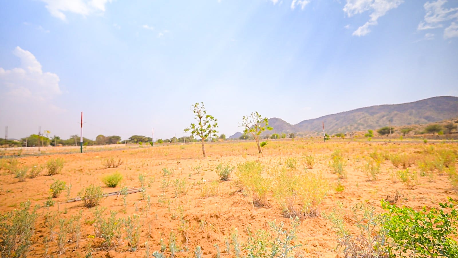 Triveni City Phase-I - Residential plot image 9 in Shahpura