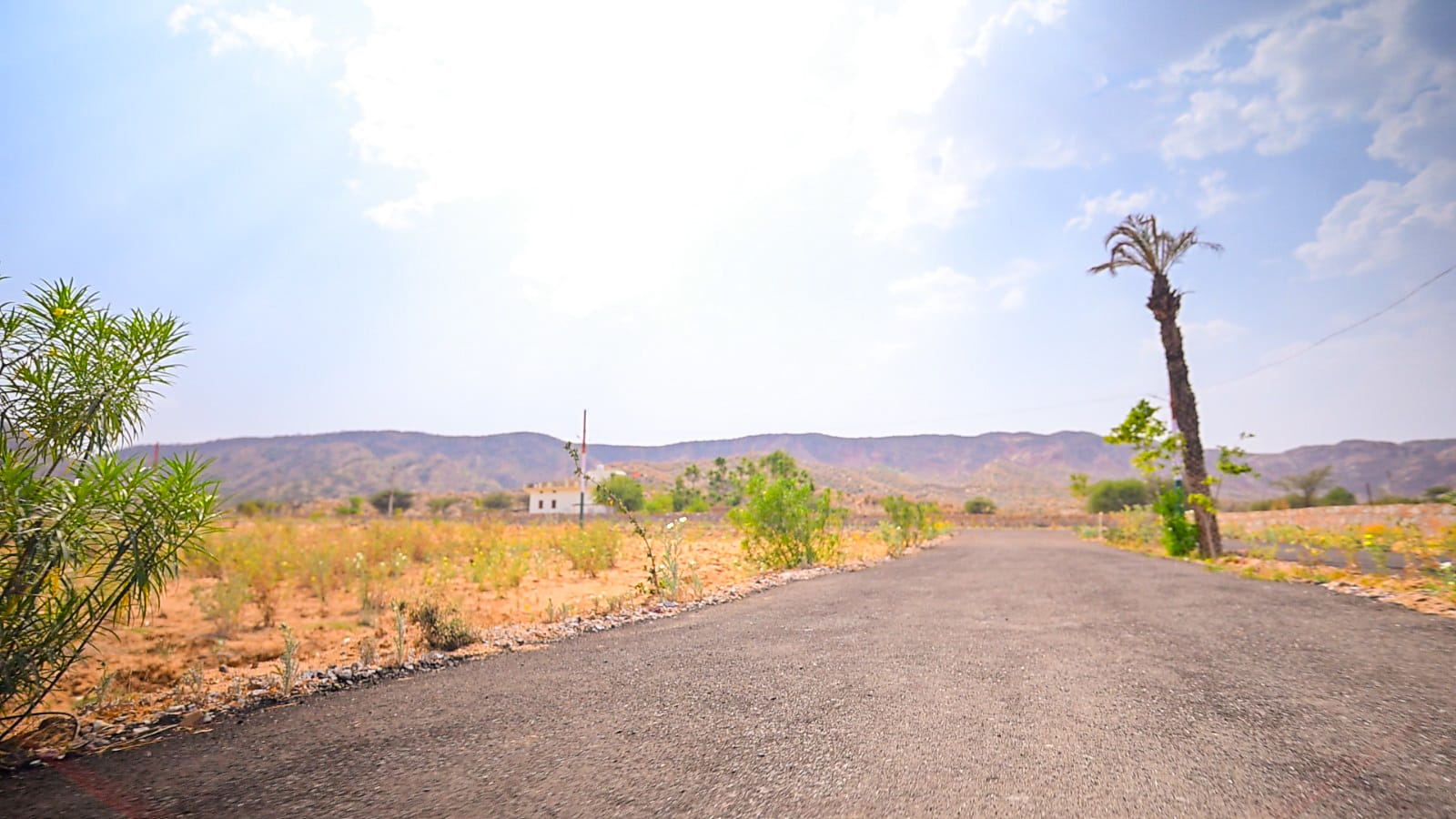 Triveni City Phase-I - Residential plot image 14 in Shahpura
