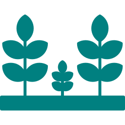 Road Side Plantation